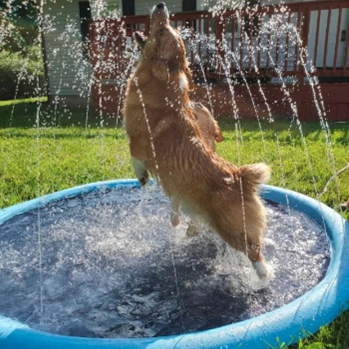 Pet Sprinkler Pad - Dog Pool Party