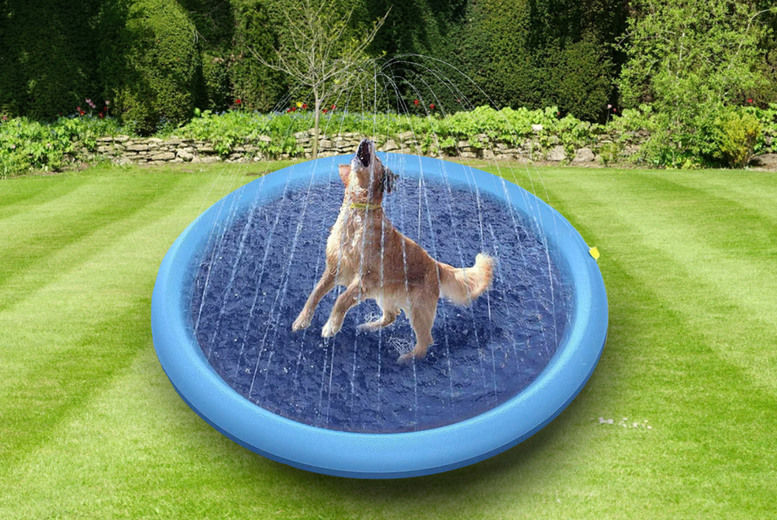 Pet Sprinkler Pad - Dog Pool Party